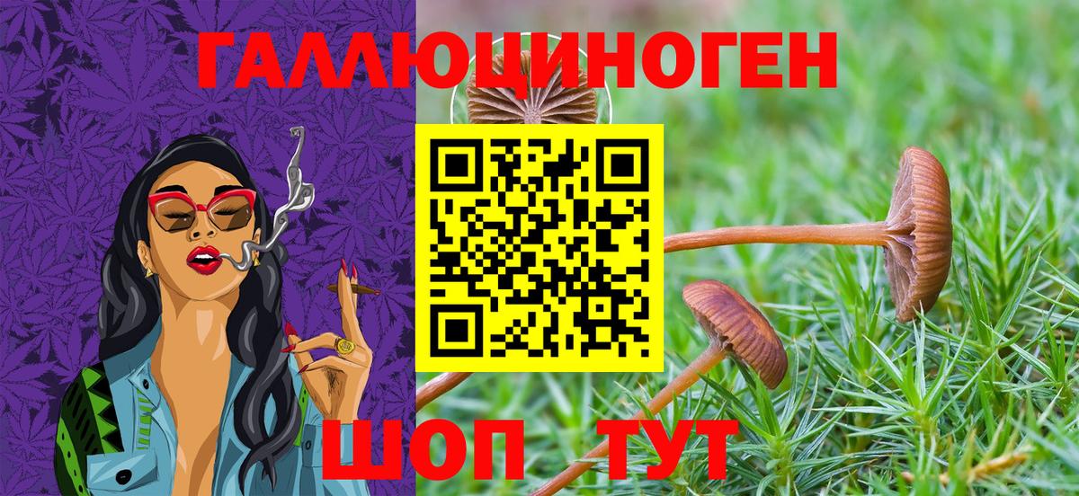 Псилоцибиновые грибы мицелий Богданович