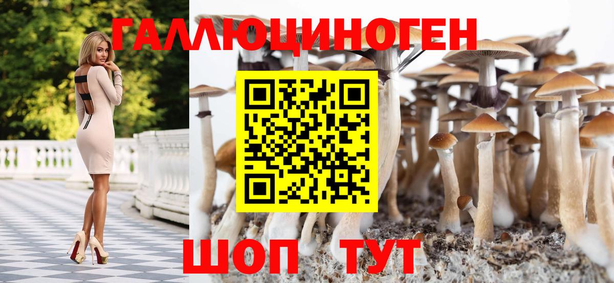 Галлюциногенные грибы Psilocybe  Псилоцибиновые грибы Magic Shrooms  Богданович  Вход с VPN 